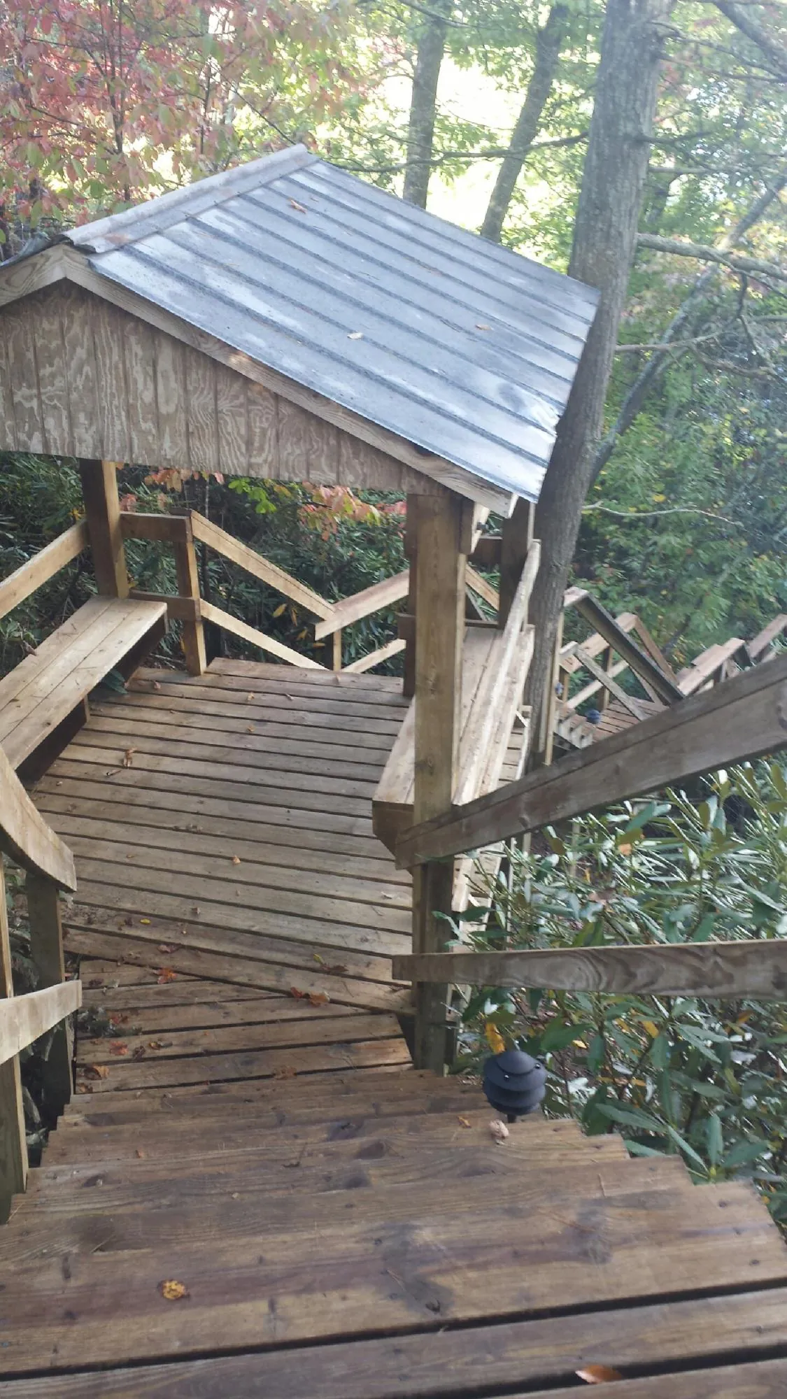 Metal roofed shelter over wooden steps on a wooded walkway — Skylight Repair & Installation work by our crew in Fair Oaks